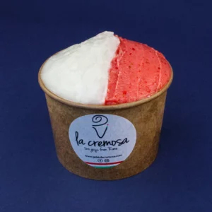 Gelato/Sorbet  350ml Tub